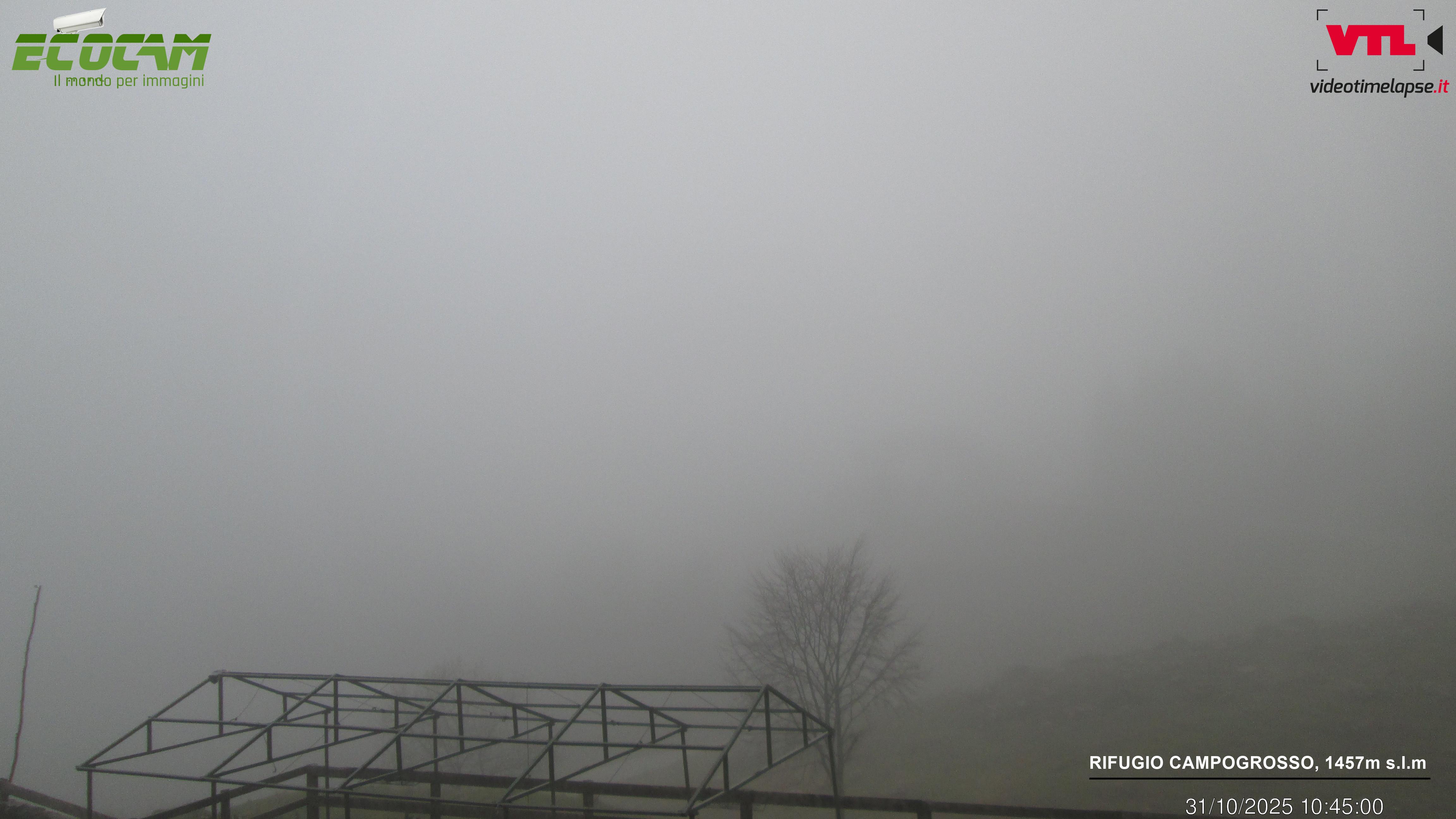 immagine della webcam nei dintorni di Passo Coe: webcam Valli del Pasubio